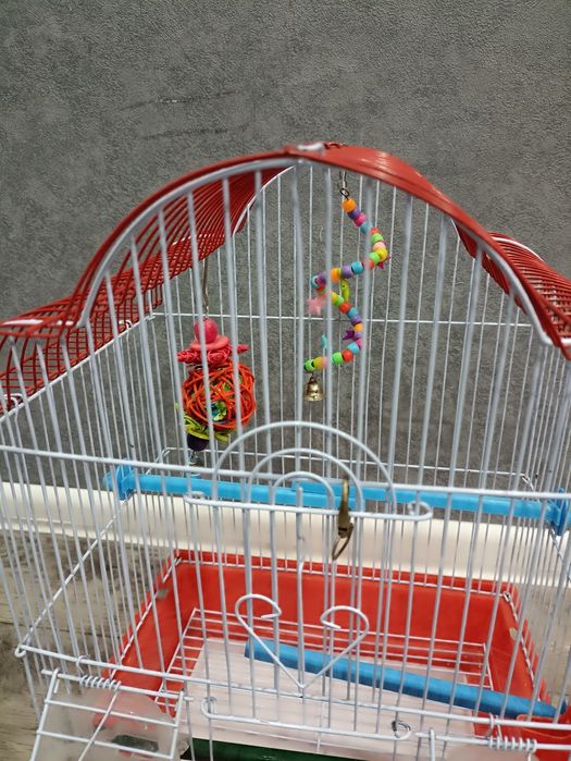 Клетка для попугаев!