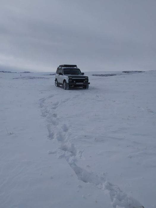 Сатылады нива состояние идеал