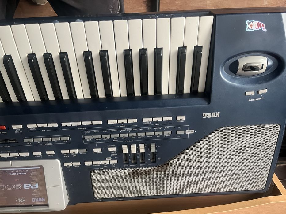 Клавир KORG PA 800 с стойка и калъф