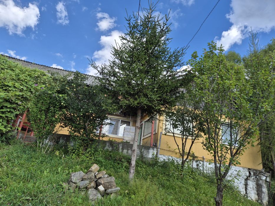 De vanzare casa cu teren intravilan  livada 5700m²