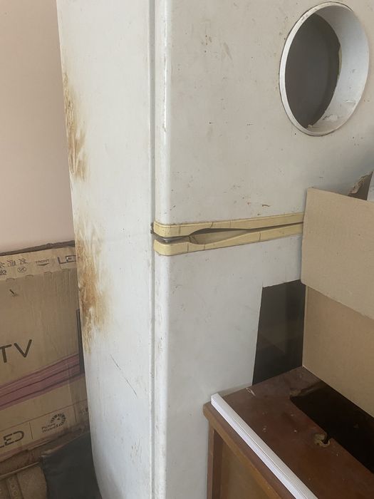 Инкубация готовый