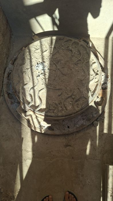 Калодисни копкоги сотилади