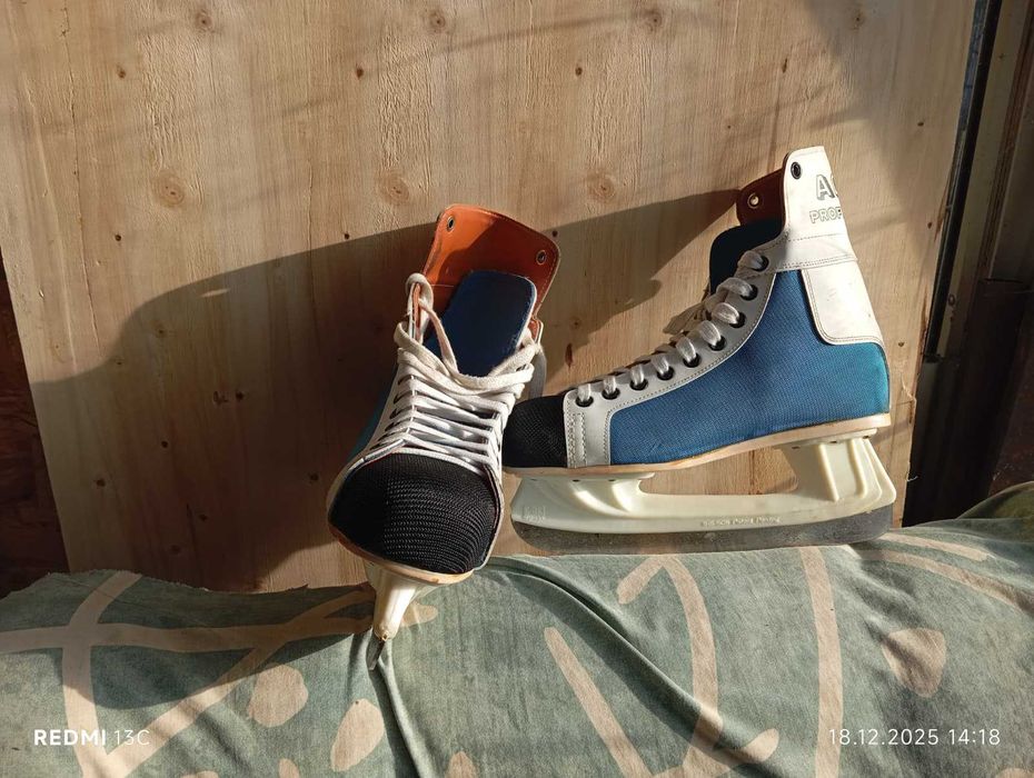 Patine profesionale  ARCO