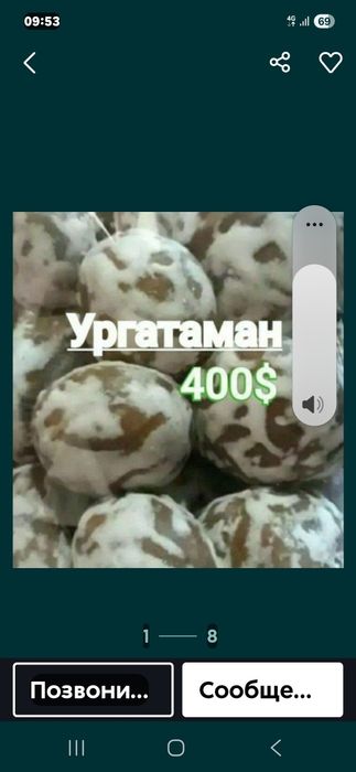 8500 chiqadigan pryanik orgataman