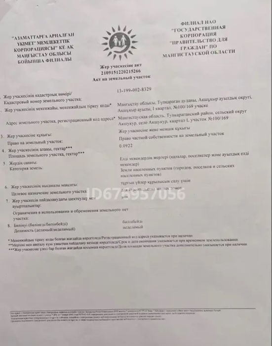 Первая береговая линия