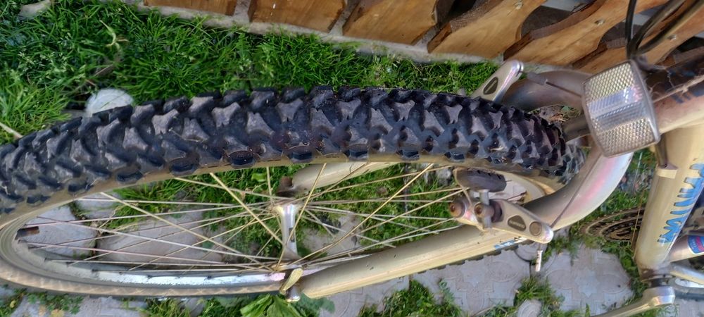 Vand bicicleta pantera
