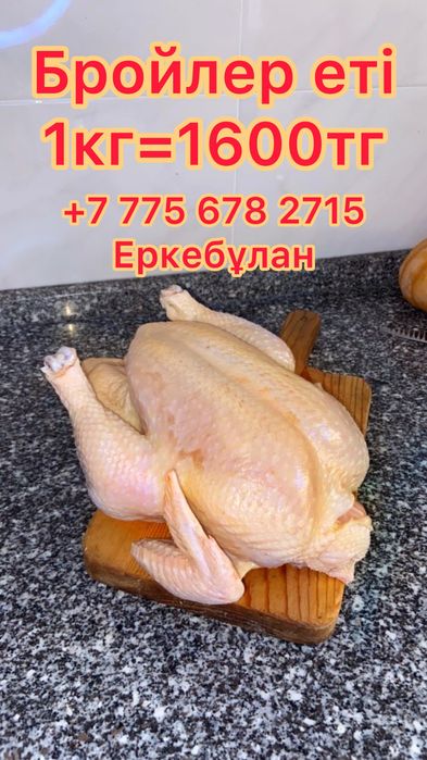 Бройлер еті. Мясо бройлера.
