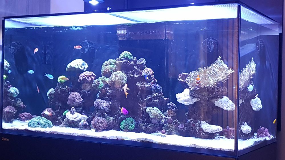 Redsea Reefer 420 xl v1