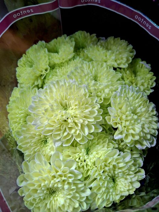 Цветы в ассортименте по оптовым ценам.