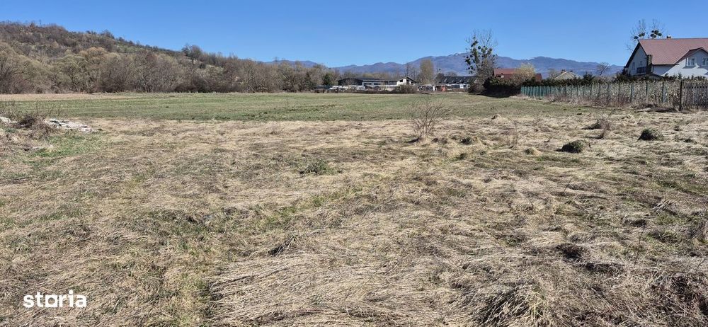 Teren de vânzare în localitatea Dumbrăvița – 22,6 ari teren intravilan