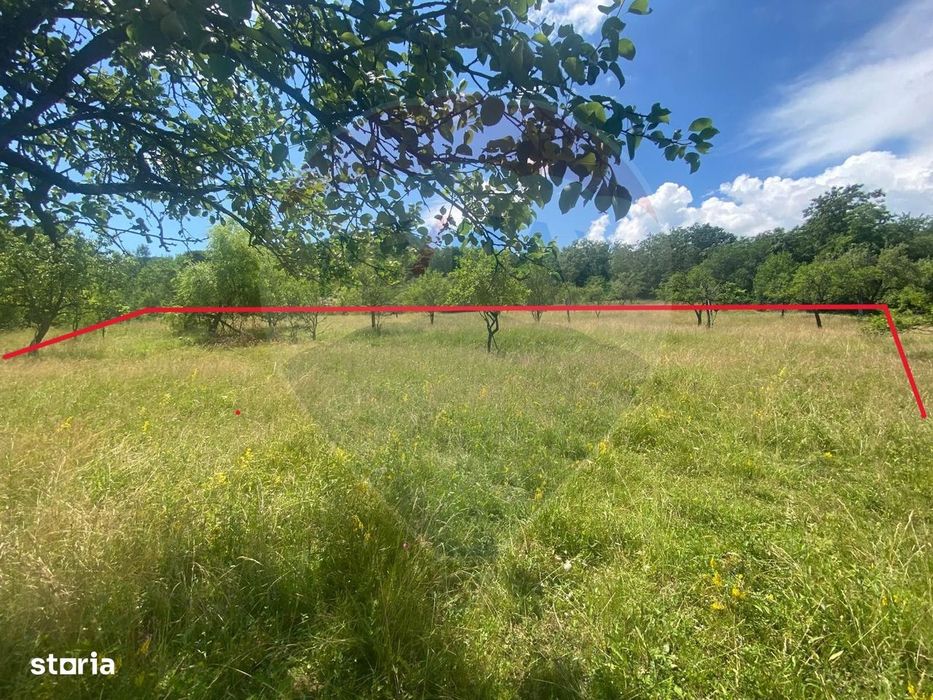Teren intravilan 12458mp | Valeni (Metes)