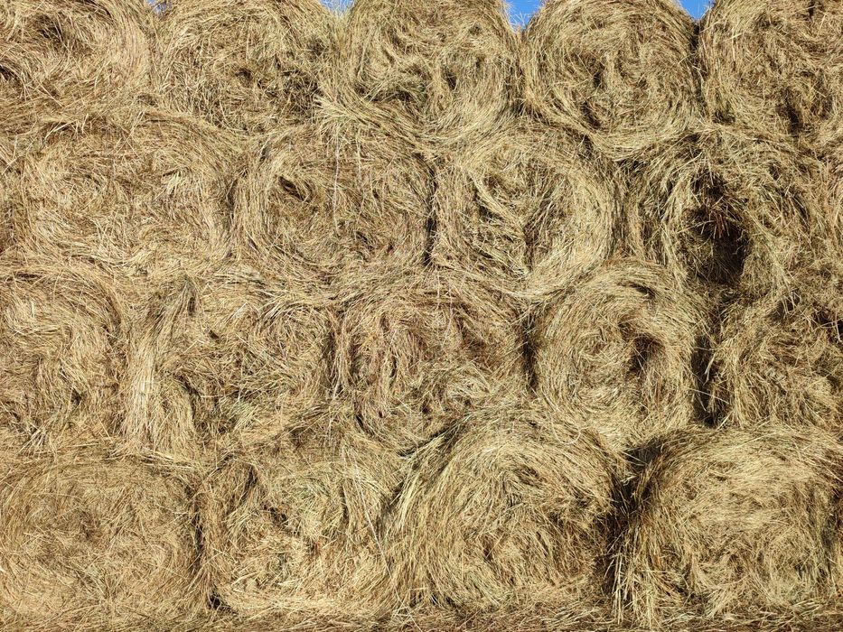 Сено разнотравье в рулонах