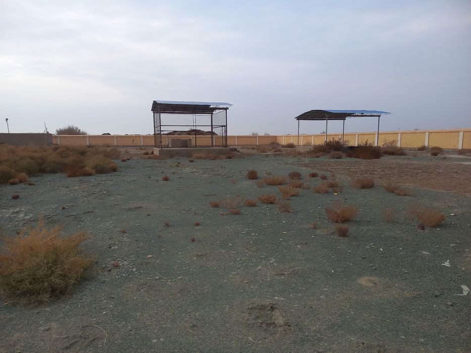 Срочно: Ферма ёки ишлаб чикариш учун ер