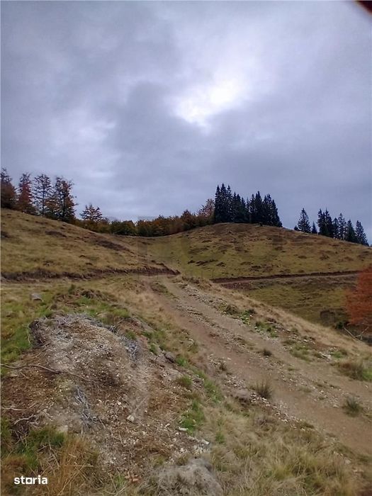 Teren extravilan la Cresuia, Stana de Vale