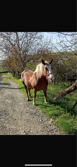 Iapa  disponibila pentru o noua casa