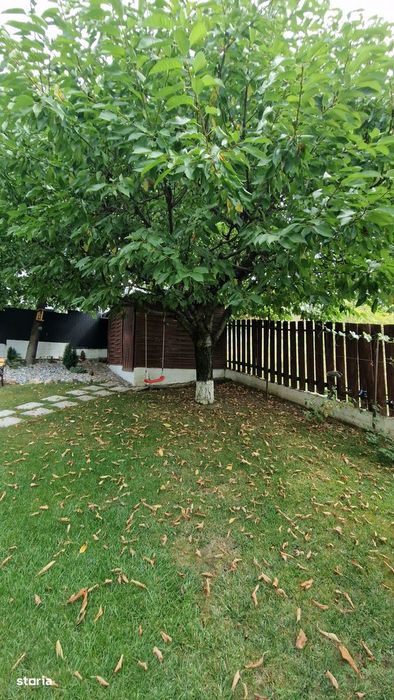 Vila zona Bucium