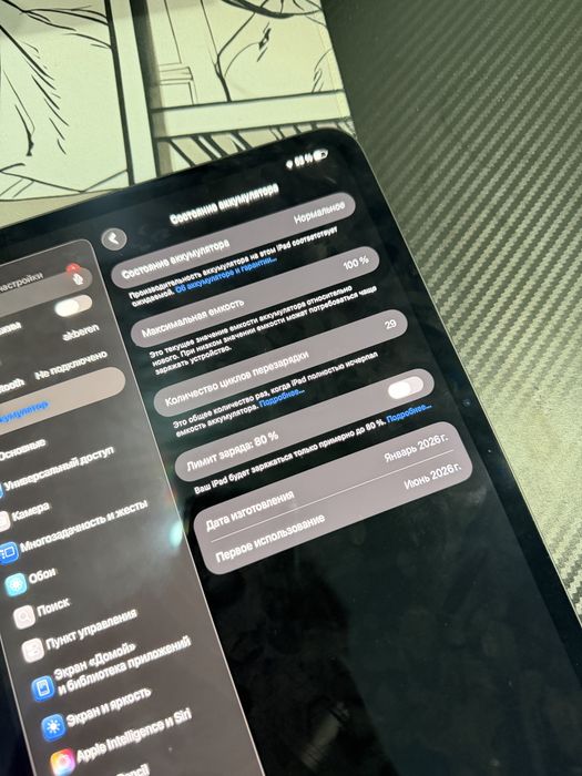iPad Pro M4 8/256