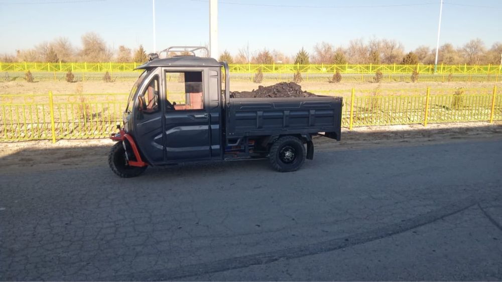 Муравей трицикл skilmax электровелик