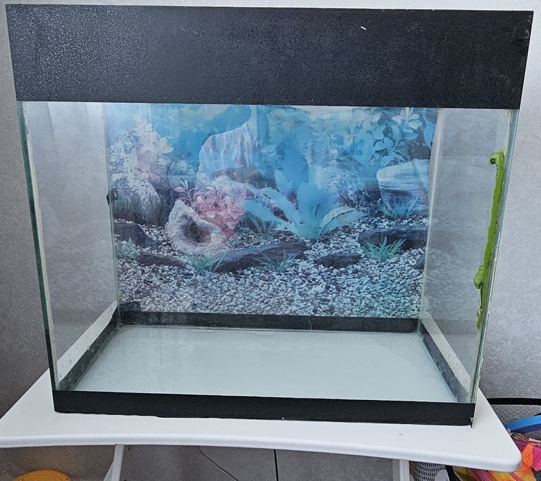 Аквариум 50 литров