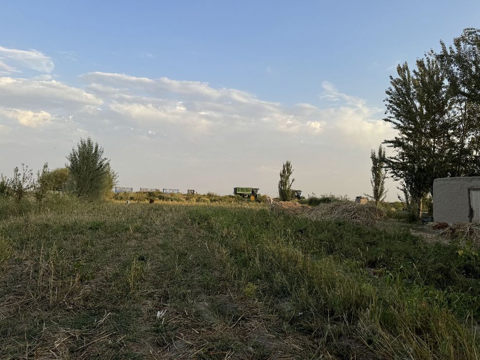 Сирдарьё Сардоба Участок 25 соток