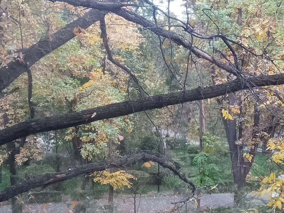 Аренда квартиры.