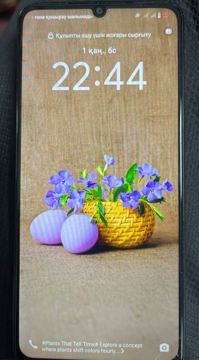 VIVO Y04 Новый телефон