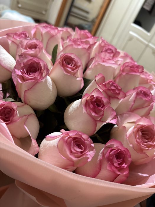 Гүл керектер хабарласыңдар