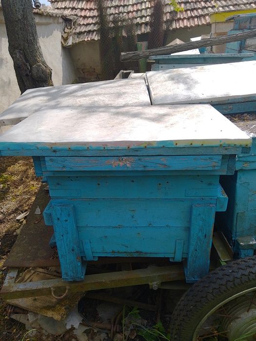 Пчелни кошери от военни сандъци