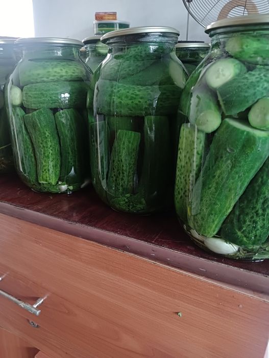 Продам маринованные огурцы