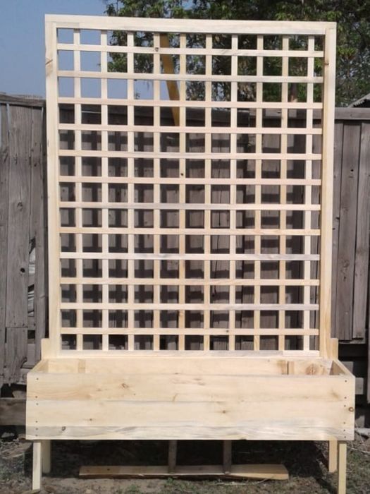 Шпалера для вьющихся растений.