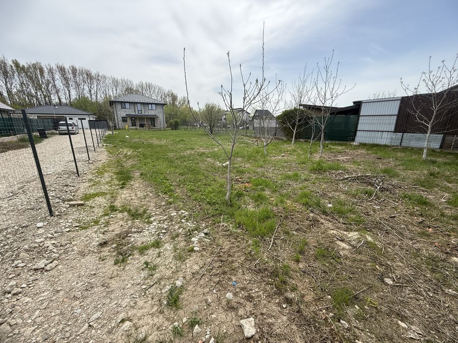 Teren Domnesti 840mp