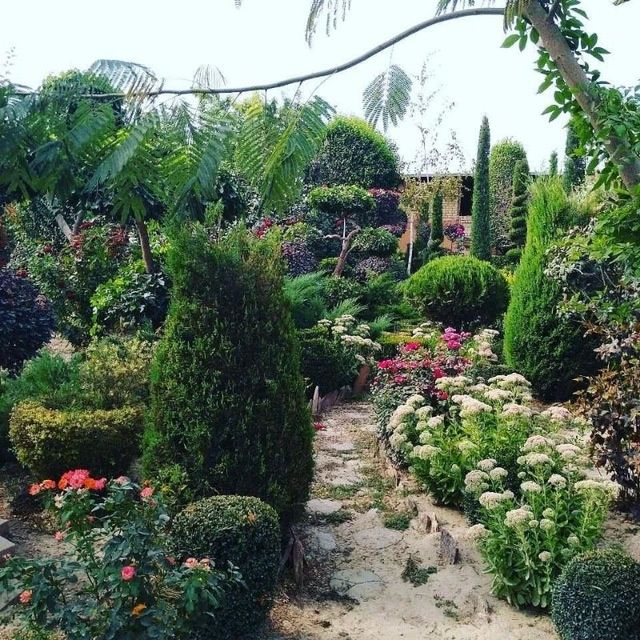 Toza va sifatli biyagoms bor