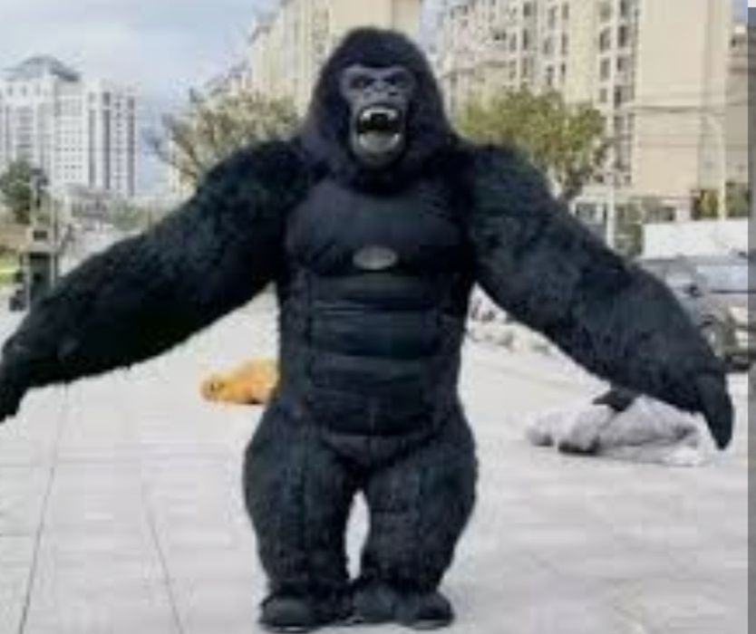 Горилла продаётся