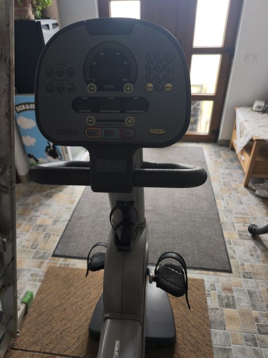 Bicicleta TechnoGyM Forma