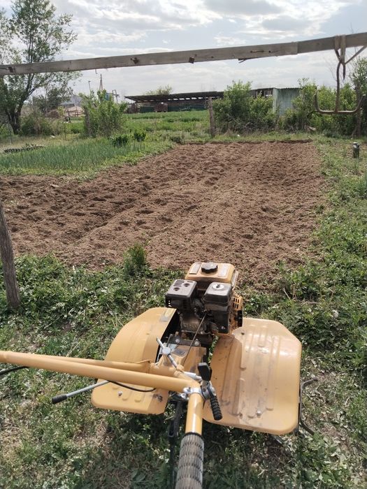 Срочно Продам мотоблок