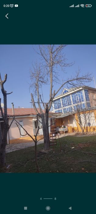 Sadovnik bogʻbon xizmati