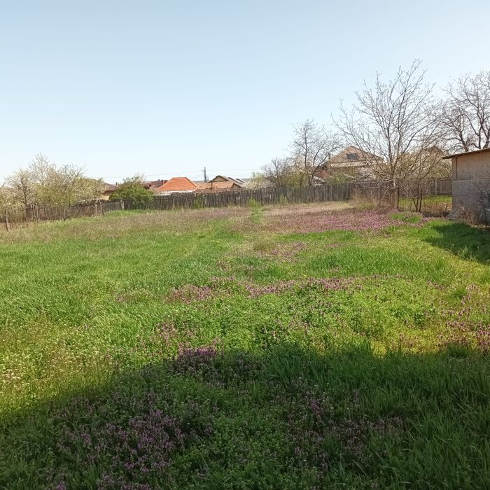 Casa de vanzare Dumbrava Rosie oportunitate excelenta pentru investiți