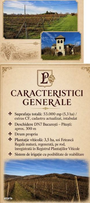Teren de 53.000 mp cu vita de vie + Conac boieresc