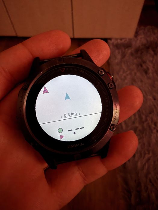 Garmin fenix 5 47 mm