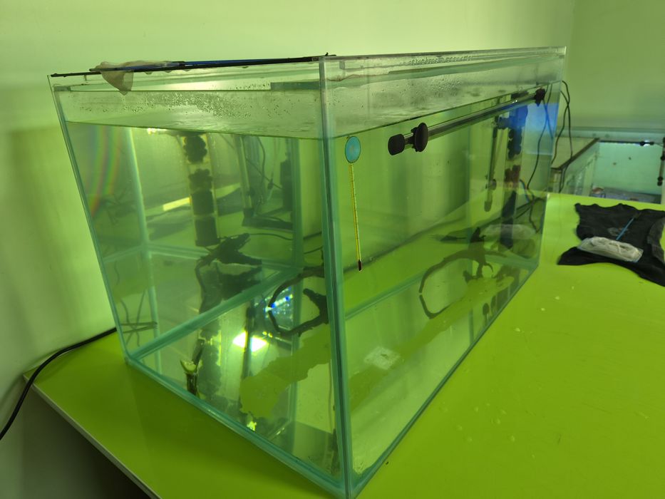 Аквариум 2 дона 200 л ва 1 дона 130 л сотилади