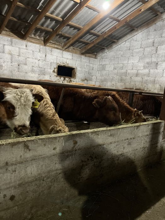 Подсостар сатылады