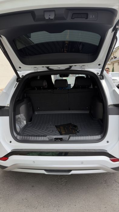 Byd champion smart 605