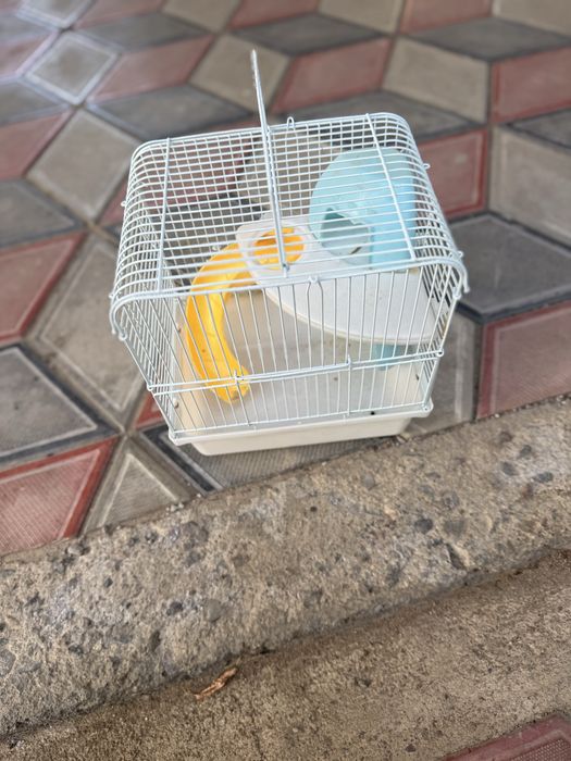 Продам домик для хомяка