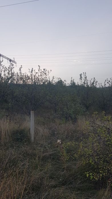 Продава се Земеделски имот в с. Дяково, Област Кюстендил -  кв.м за 1403 €/дка - Снимка #2