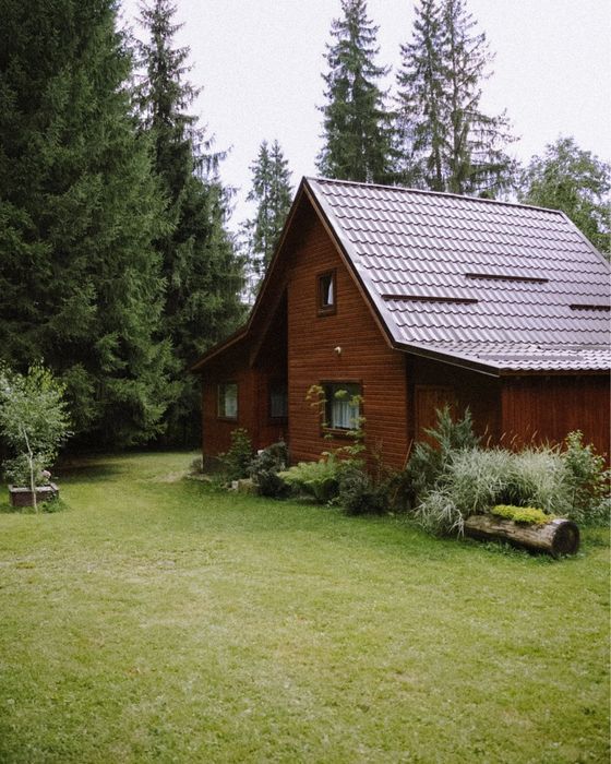 Cabana Pin de inchiriat