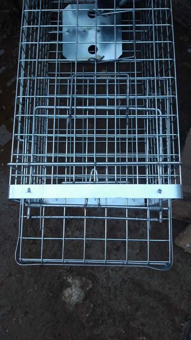 Capcana pentru nevastuici, șobolani, dihori,vidre, vulpi