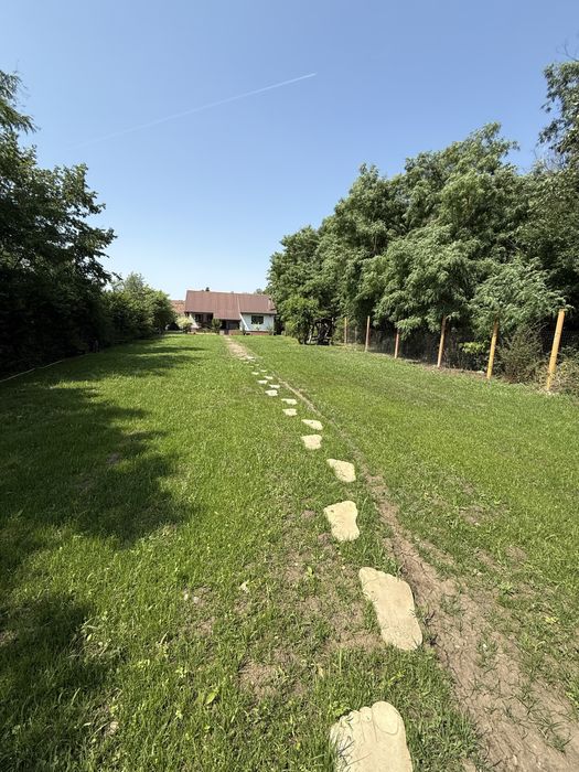 Casă rustică în pădure – Colonia Utviniș, Zimandcuz, Arad