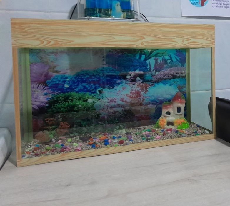 Аквариум на 60×33×20