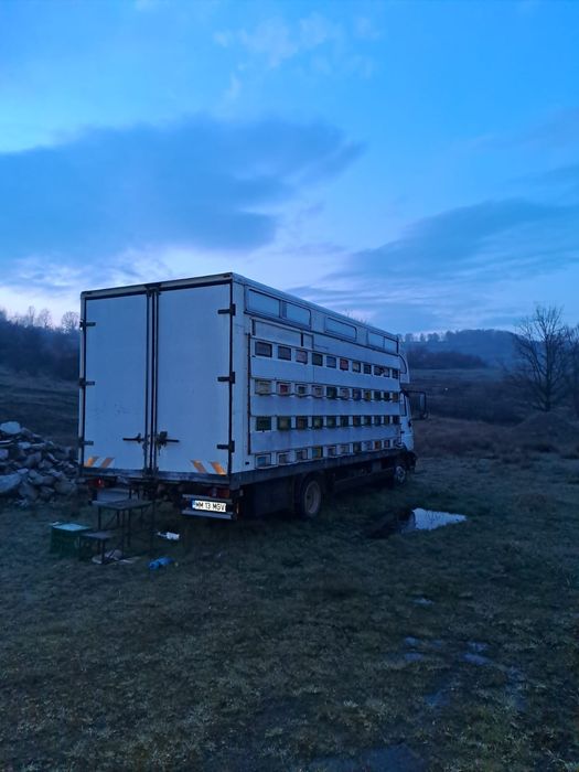 Vand camion apicol