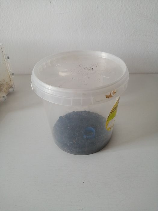 Продаётся формикарий